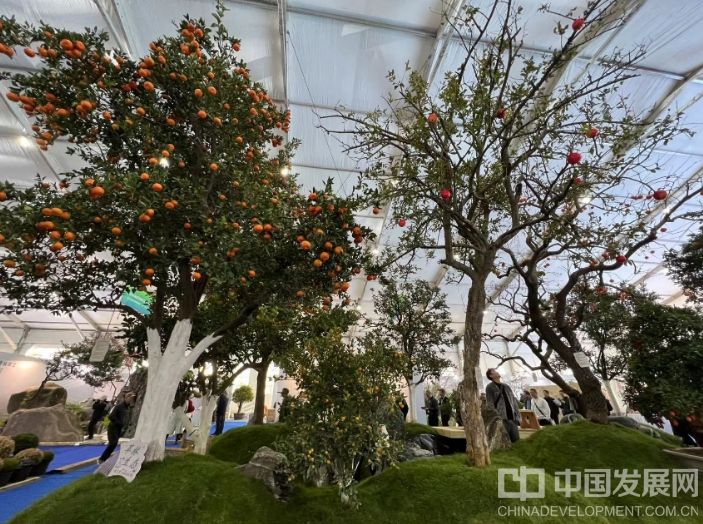 微信截圖_20251128140525