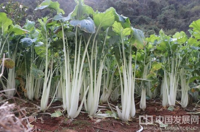 微信截圖_20251201130923