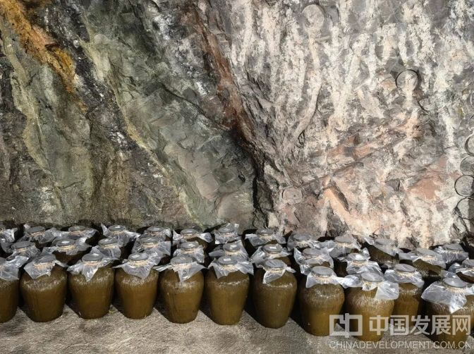 微信截圖_20251201130946