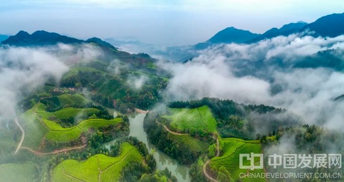 微信截圖_20251202095800