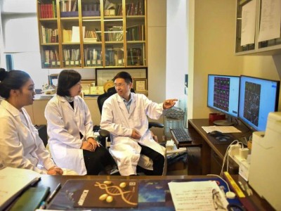 山東農大團隊20年攻堅 破解植物“單細胞再生完整植株”百年謎題