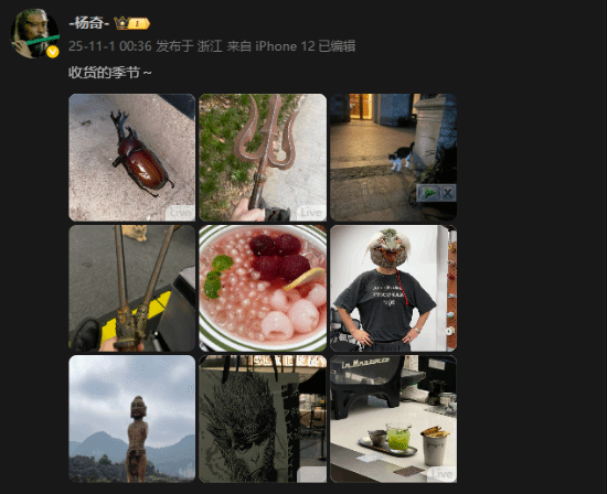 楊奇曬新圖：頭套亮眼 手拿雙錘疑似在動捕棚開工？