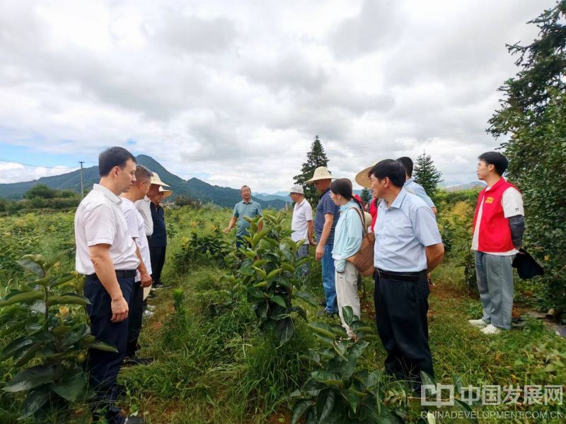 微信圖片_20251218165423_79_29