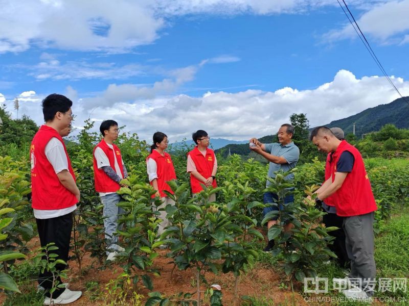 微信圖片_20251218165426_81_29